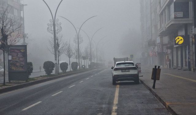 Diyarbakır'da sis nedeniyle uçak seferleri aksadı