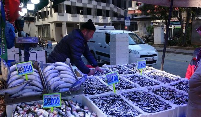 Havalar Soğuyunca Balık Çeşitliliği Arttı, Hamsi 100 Liraya Düştü