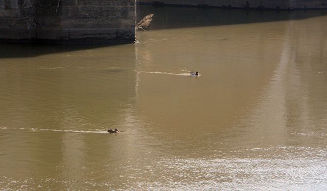 Edirne'de kuruma noktasına gelen nehirlerin debileri 3 kat arttı