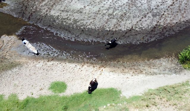 Edirne'de kuruma noktasına gelen nehirlerin debileri 3 kat arttı/Ek fotoğraflar