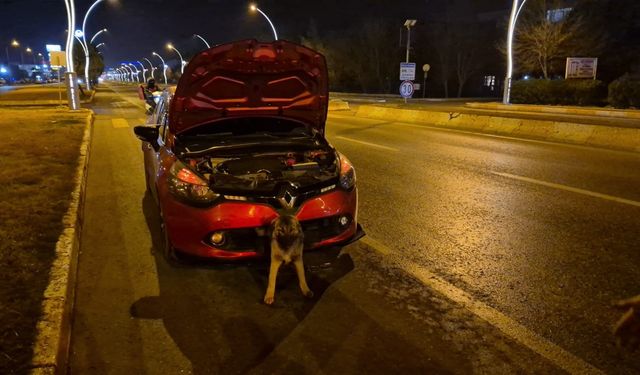 Kendisine çarpan otomobilin tamponuna sıkışan köpeği itfaiye kurtardı