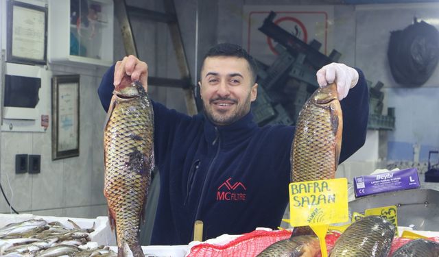 Samsun’da hamsi 100 liraya tezgahlarda yerini aldı