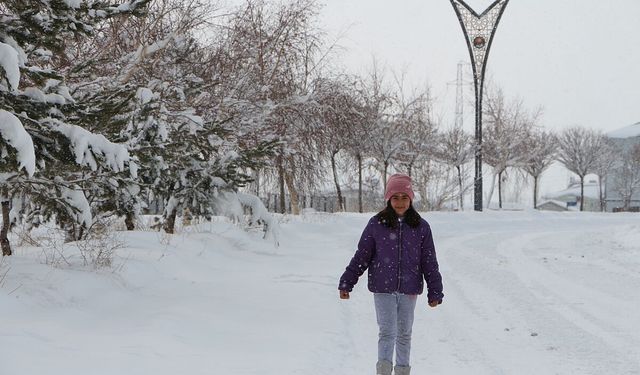 Bingöl’de 215 köy yolu, kardan ulaşıma kapandı