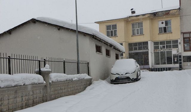 Bingöl'de 99 köy yolu kardan ulaşıma kapandı (3)