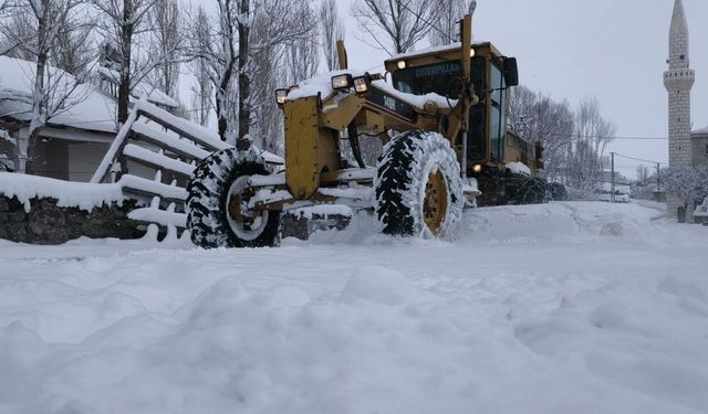 Bingöl'de eğitime 'kar' engeli (2)