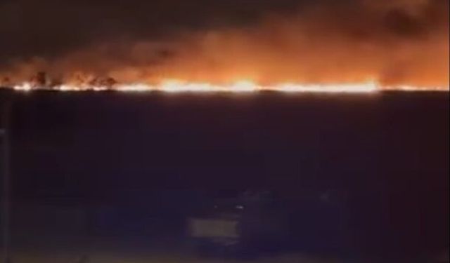Göksu Deltası'nda sazlık alandaki yangın söndü