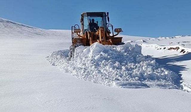 Karlıova ilçe merkezinde biriken kar, kamyonlarla taşınıyor (2)
