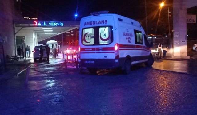 Köpeğe çarpmamak için manevra yaptı; devrilen otomobilde 1 ölü, 2 yaralı (2)