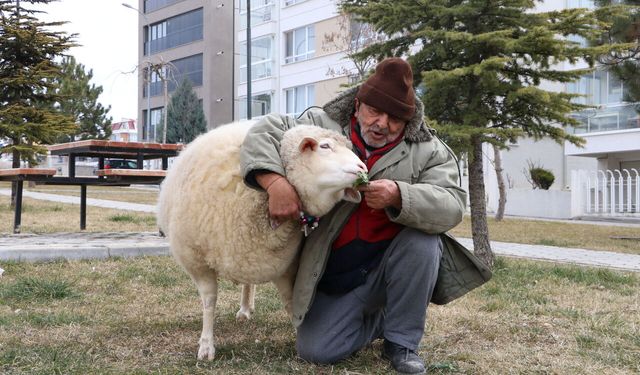 Kuzuyken aldı, 4 yıldır yanından ayrılmıyor
