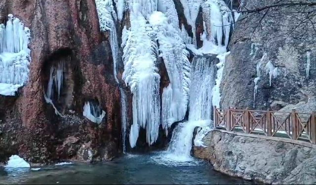 Malatya'da Günpınar Şelalesi dondu