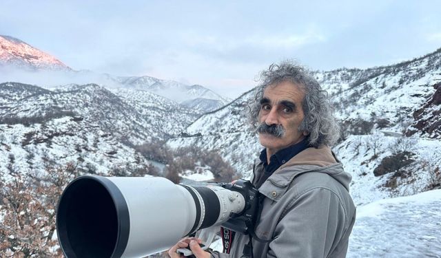 Munzur Vadisi Milli Parkı’na inen dağ keçileri, dron kamerasında