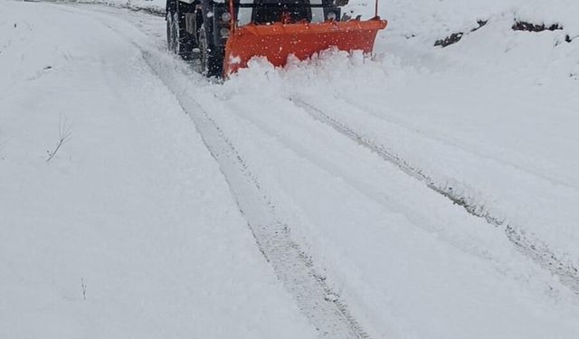 Şırnak ve Siirt’te kar yağışı