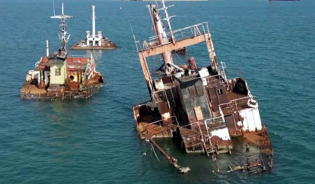 Yapay resife dönüşen gemi batıkları, balıklara ve deniz kuşlarına yuva oluyor