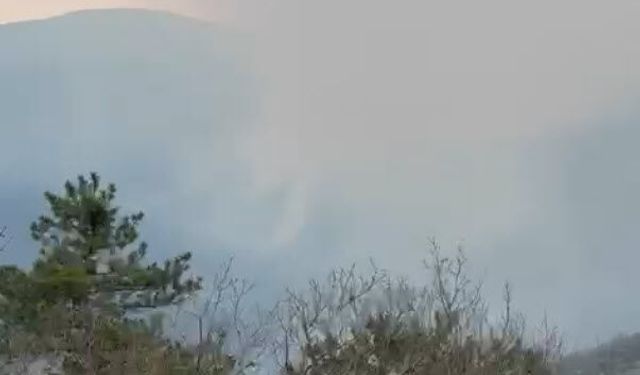 Balıkesir'de orman yangını/ Ek fotoğraflar