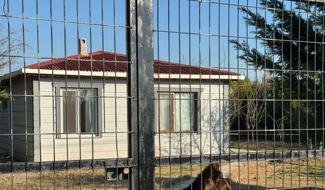 Emekli polis, tartıştığı eşini eşarpla boğdu