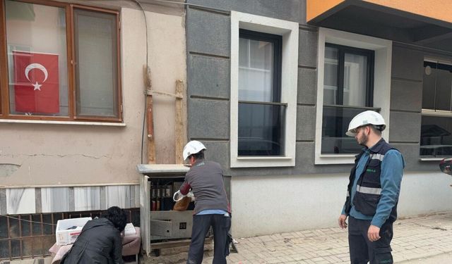 Erdek'te trafoya giren kedi öldü; bölgede kısa süreli elektrik kesintisi yaşandı