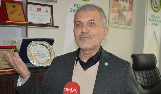 Mardin'de 3 milyon dönüm alana buğday ekildi