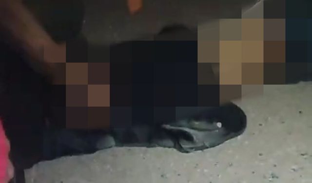 Mardin’de, cipin çarptığı sosyal medya fenomeni, öldü
