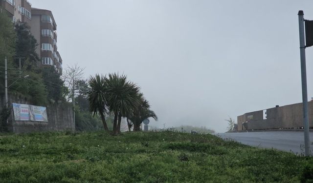 Zonguldak’ta sis etkili oldu