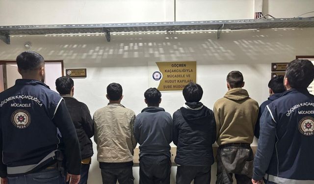 Biri bagajda 6 kaçak göçmen yakalandı; 2 sürücü tutuklandı
