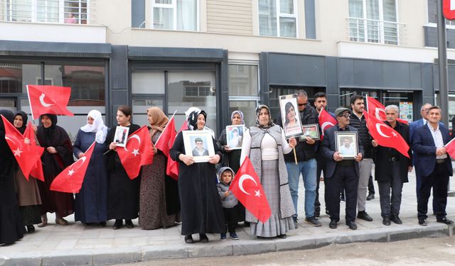 'Bizim gözyaşlarımızı görsünler, evlatlarımızı geri göndersinler'
