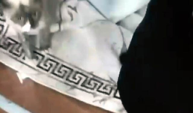 Çalışan çamaşır makinesinde sıkışan kediyi itfaiye kurtardı
