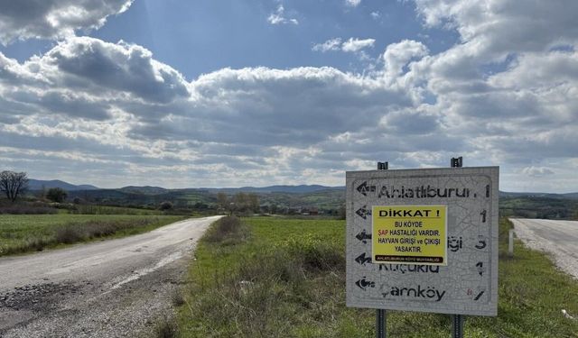 Çanakkale’de bir köye daha hayvan giriş çıkışları yasaklandı
