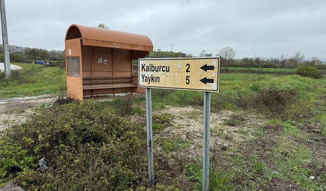 Çanakkale’nin 2 ilçesinde şap alarmı