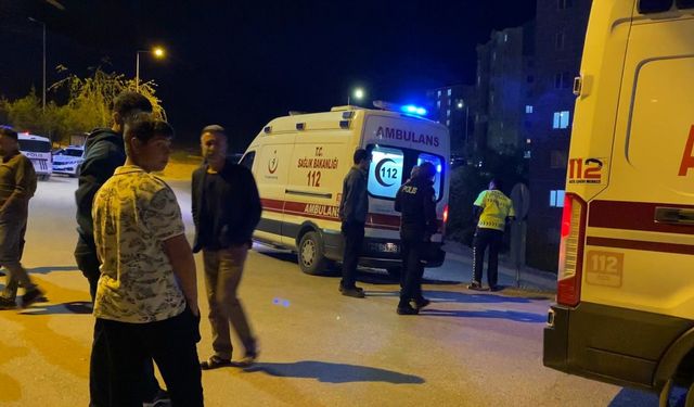 Elazığ'da otomobil aydınlatma direğine çarptı : 2 yaralı