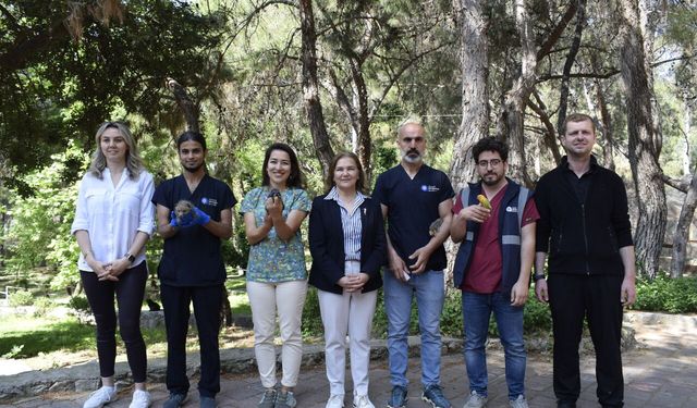Hayvan kreşindeki yavrulara anne şefkati