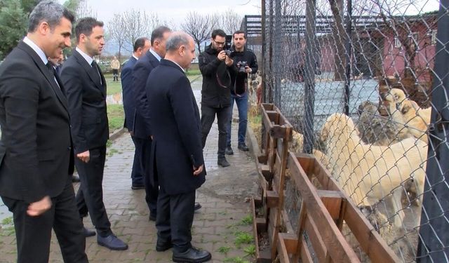 İçişleri Bakan Yardımcısı Aktaş, Bingöl’de