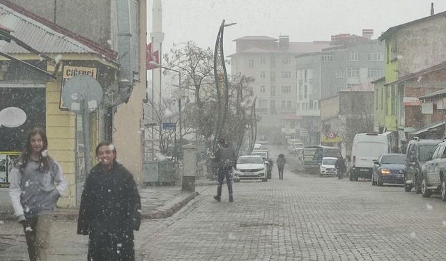 Karlıova’da kar yağışı etkili oldu