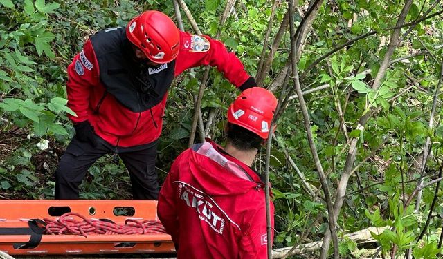 Kayıp olarak aranırken kazada öldüğü ortaya çıktı