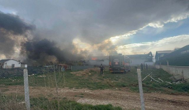 Kaynak makinesinden sıçrayan kıvılcımlar tavuk çiftliğini yaktı