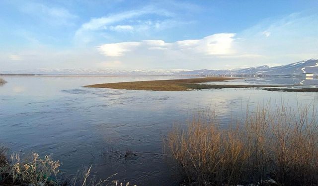 Kura Nehri taştı; Ardahan Ovası göle döndü