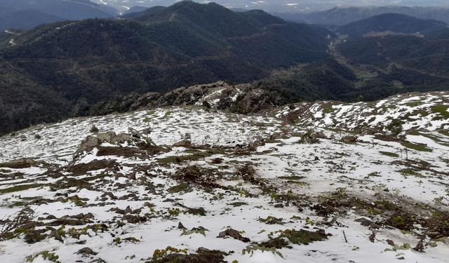 Tokat’ta otomobil 60 metrelik uçuruma yuvarlandı: 4 yaralı
