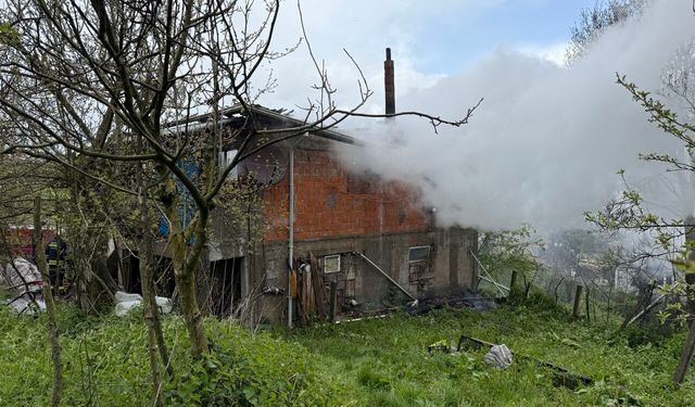 Yalnız yaşadığı evde çıkan yangında öldü
