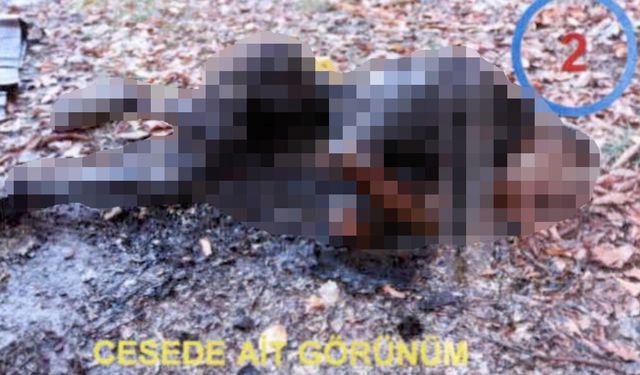 Yanmış cesedi bulunan Afgan madenci davası; tutuklu sanıklara 5'er yıl 8'er ay hapis cezası