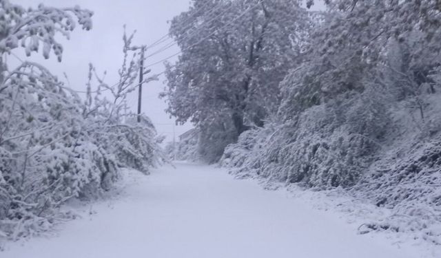 Zonguldak Alaplı'da kar yağışı
