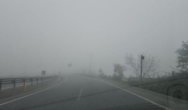 Zonguldak'ta yoğun sis