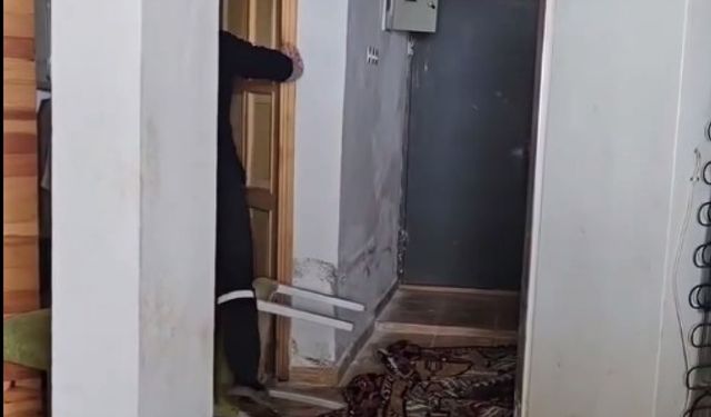 Aç kalan ayılar, belediye başkanının yayla evine girdi