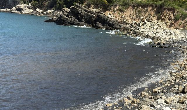 Amasra'da denizde kirlilik