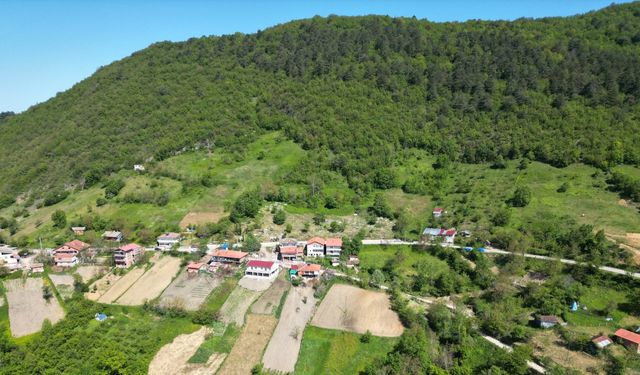Küre Dağları Milli Parkı'nda bahar güzelliği