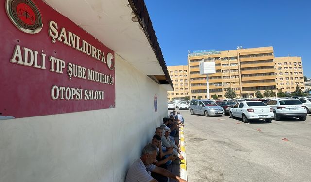 Şanlıurfa’da otomobilin çarptığı çoban öldü