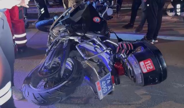 Tasmasından kurtulan köpeğin saldırmasıyla kaza yapan 2 polis yaraladı