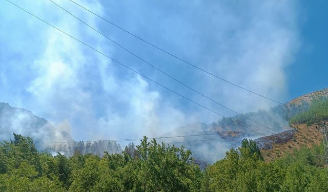 Torpille şaka yaparken 92 hektar ormanı yakana 10 yıla kadar hapis istemi