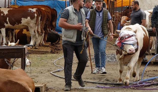 Trabzon’da kurbanlıkların yarısı alıcı buldu
