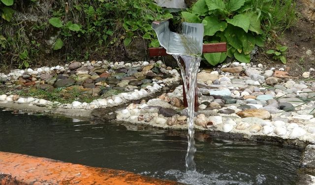 Acı tat bırakan 'şifalı su' için tüketim uyarısı