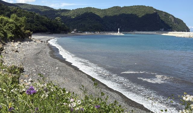 Bakanlıktan, denize maden artığı döken kömür ocağına 1,3 milyon lira ceza / Ek fotoğraflar