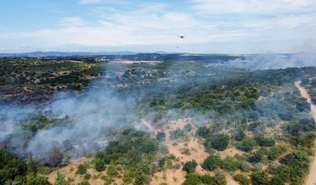 Edirne'deki orman yangını 20,5 saat sonra kontrol altına alındı
